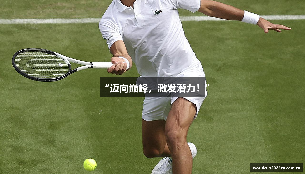 “迈向巅峰，激发潜力！”